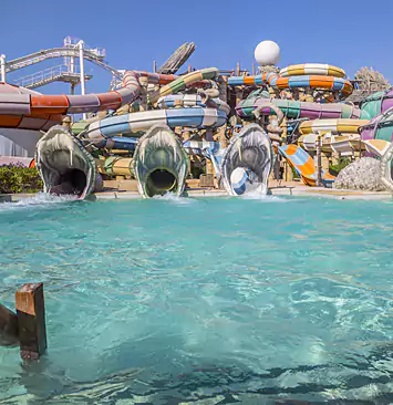 Explore Yas Water World, Abu Dhabi 